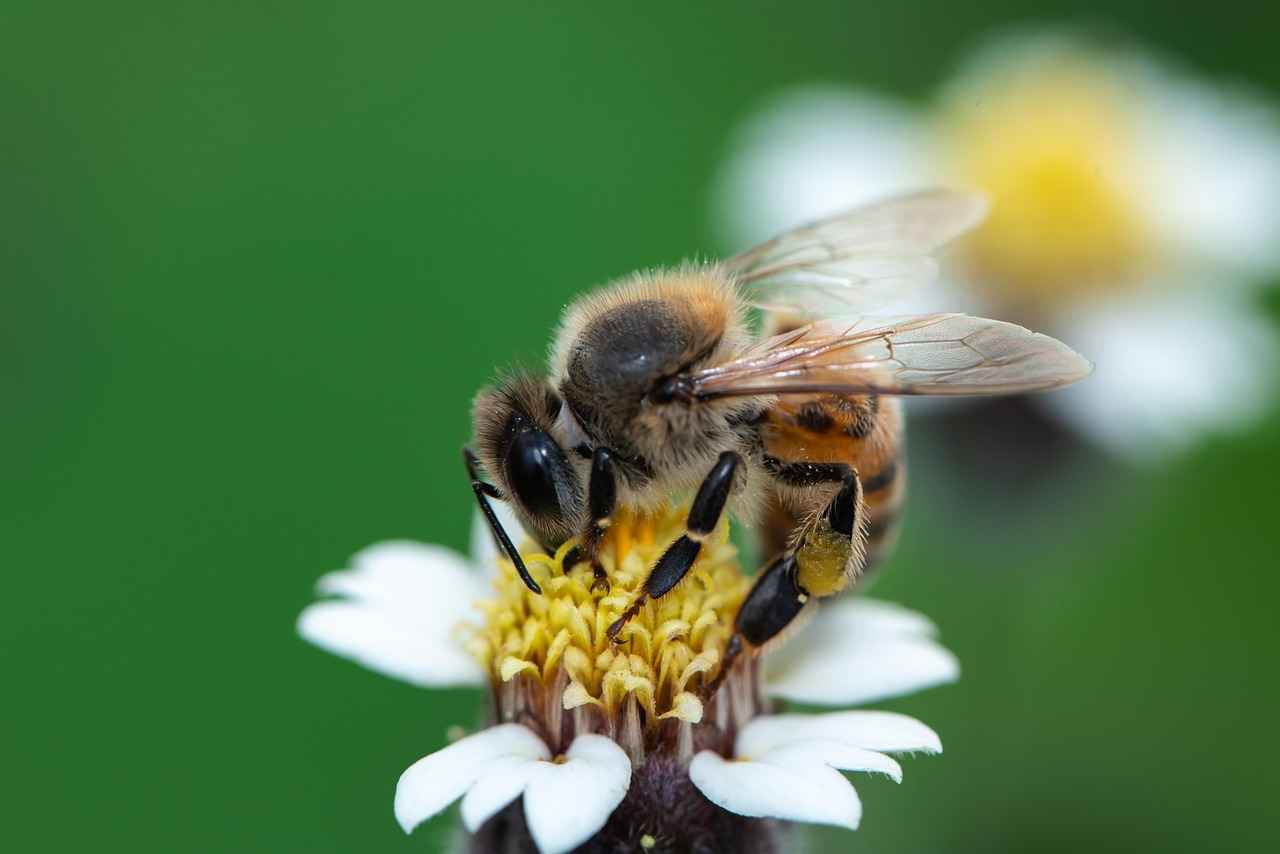 Kız Çocuk Saç Bantları ile Eğlenceli Kombinler
