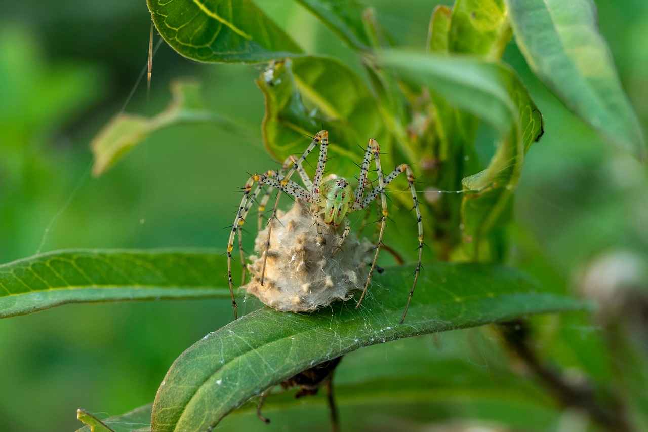 Kız Çocukları İçin En Trend Saç Bantları