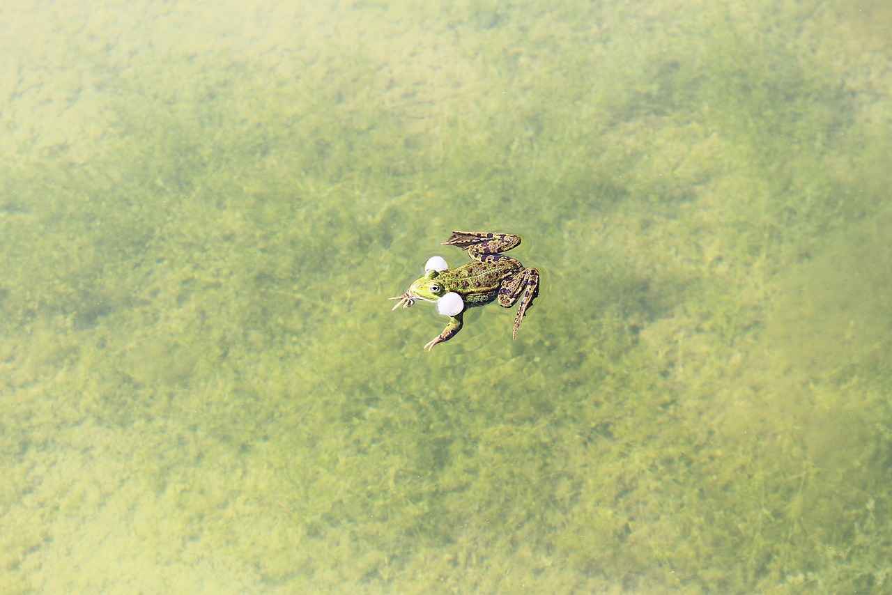 Kız Çocukları İçin Renkli Saç Bandı Fikirleri